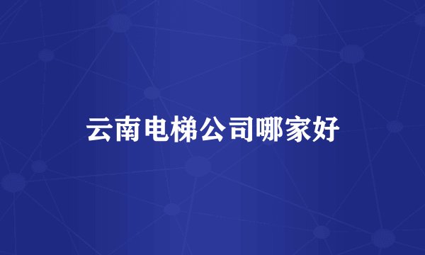 云南电梯公司哪家好