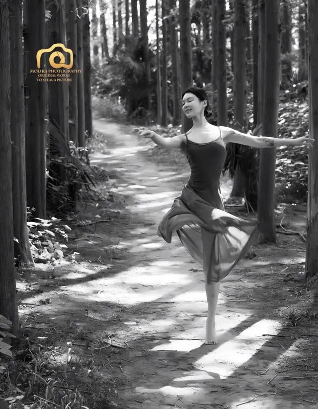 什么是单色照片作品?