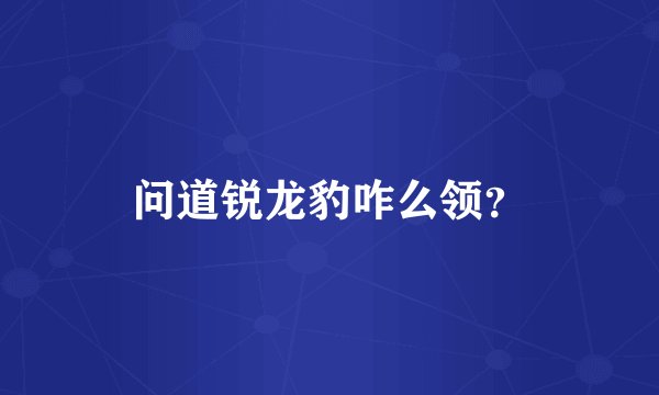 问道锐龙豹咋么领？