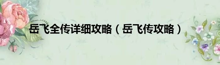 岳飞全传详细攻略（岳飞传攻略）