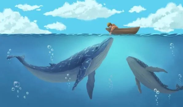 鲸鱼一分钟心跳是几次 鲸鱼的心跳每分钟多少