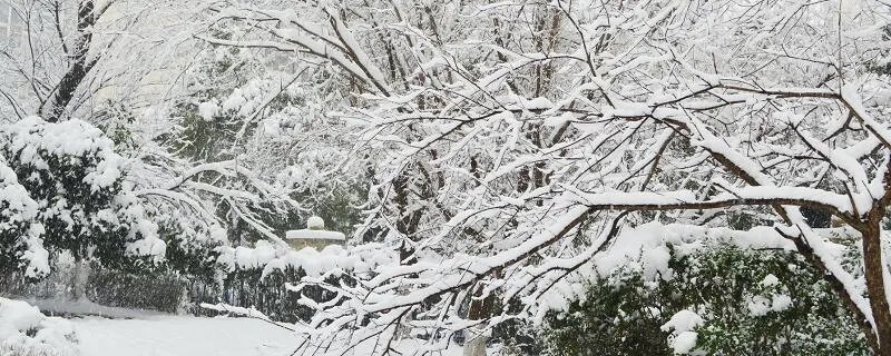 全国多地迎入秋后首场降雪是怎么回事 全国多地迎入秋后首场降雪是什么情况