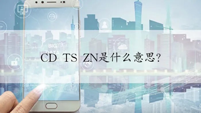 CD TS ZN是什么意思？
