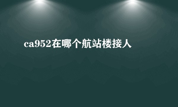 ca952在哪个航站楼接人