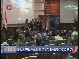 埃及延长紧急状态发生什么事了？