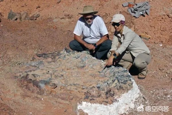 科学家发现2.2亿年前恐龙墓，谁给安葬的呀？