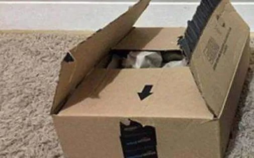 快递员私开包裹详情始末曝光：行为细思极恐（图）