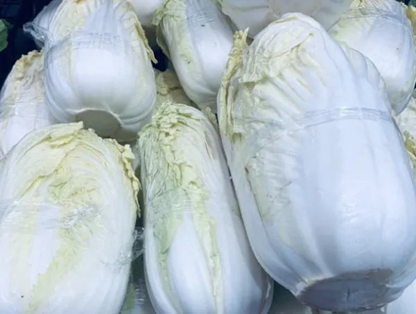 韩国大白菜飙涨至62元一颗，是什么原因引起白菜涨价的？