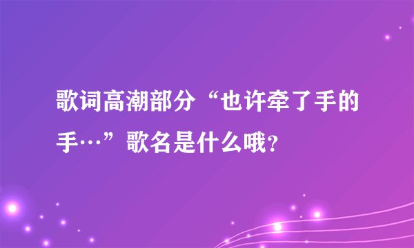 歌词高潮部分“也许牵了手的手…”歌名是什么哦？