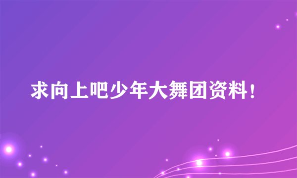 求向上吧少年大舞团资料！