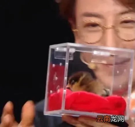 刘谦怎么没有消息了？ 刘谦怎么啦？