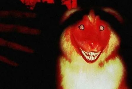 微笑狗恐怖事件死了多少人事件原图为什么吓人