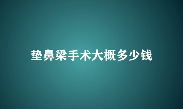垫鼻梁手术大概多少钱