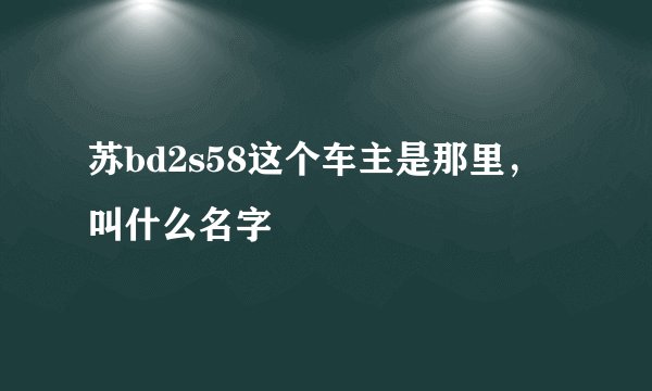 苏bd2s58这个车主是那里，叫什么名字