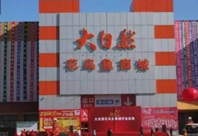 长春有哪些花鸟鱼市场？