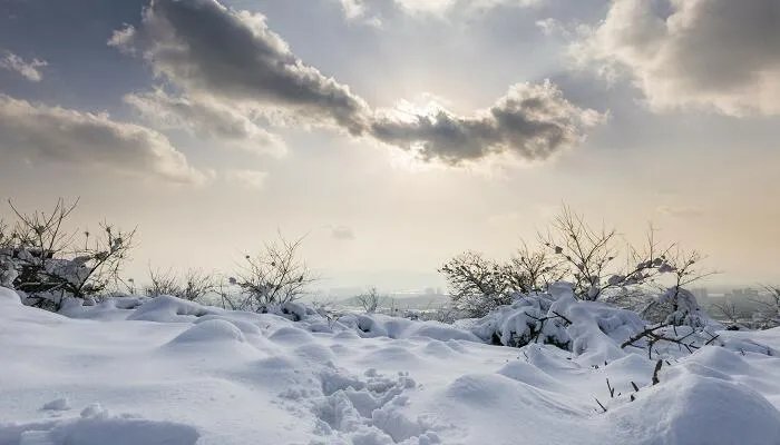 天地的成语有哪些