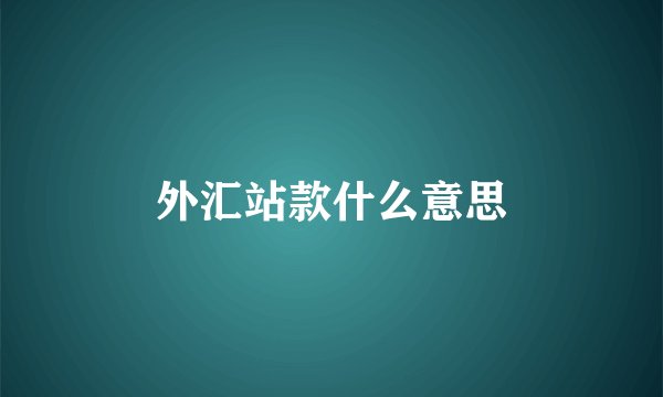外汇站款什么意思