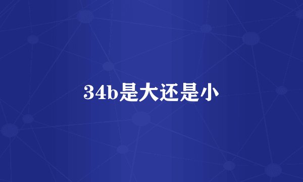 34b是大还是小