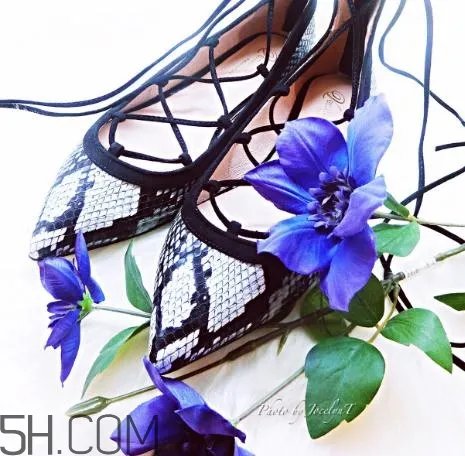 venilla suite是什么牌子?venilla suite什么档位?