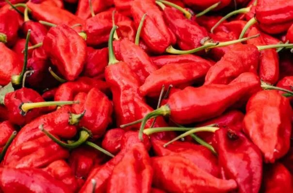 世界最辣的十种辣椒,无限辣椒上榜,第一辣度峰值达220万SHU