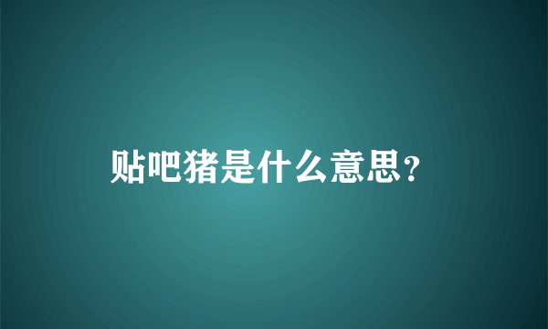 贴吧猪是什么意思？