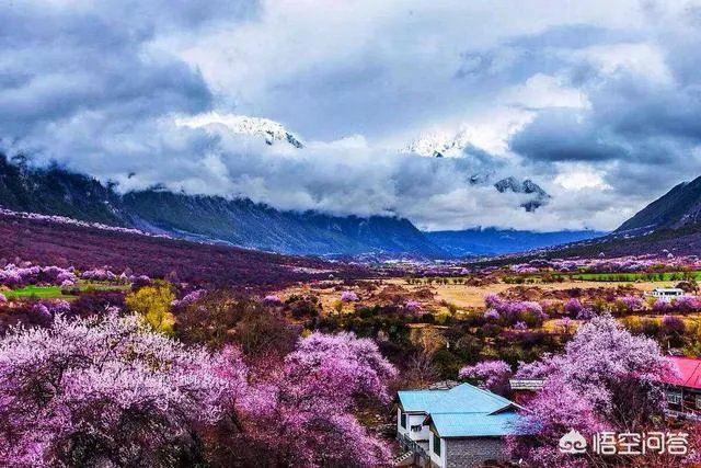 3月份最适合旅游的地方是哪里？