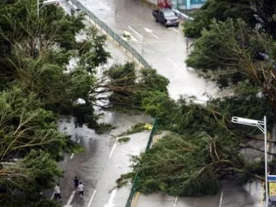 台风巴威登陆朝鲜影响中国东北，东北都做了哪些防护措施？