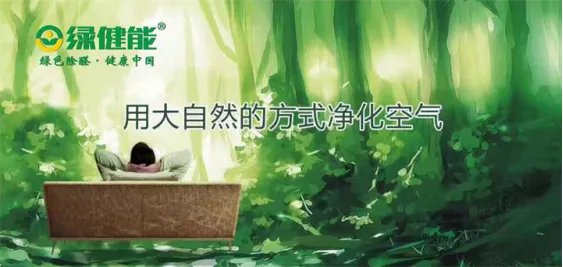 绿健能新房除甲醛空气治理服务