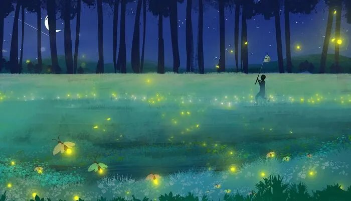 萤火虫在发光的同时也在发热吗 萤火虫在发光的时候会发热吗