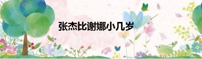 张杰比谢娜小几岁