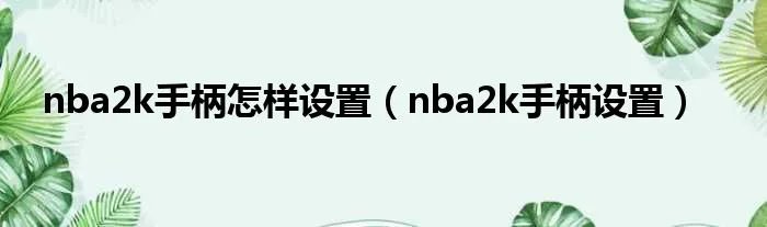nba2k手柄怎样设置（nba2k手柄设置）