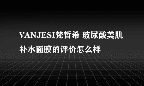 VANJESI梵哲希 玻尿酸美肌补水面膜的评价怎么样