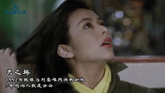 洪欣肉丸子事件是真的吗？洪欣和刘銮雄什么关系