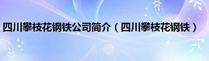 四川攀枝花钢铁公司简介（四川攀枝花钢铁）