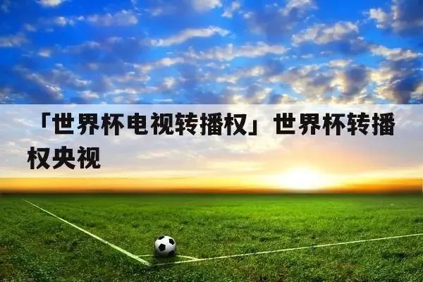 世界杯版权归央视，其他平台可以向央视购买转播权吗？