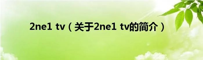 2ne1 tv（关于2ne1 tv的简介）