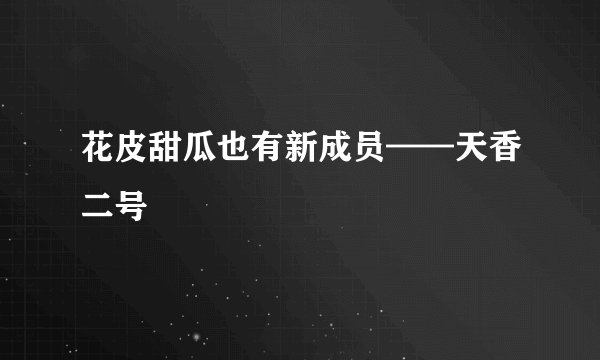 花皮甜瓜也有新成员——天香二号