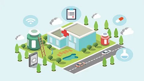 高丽参和红参的区别