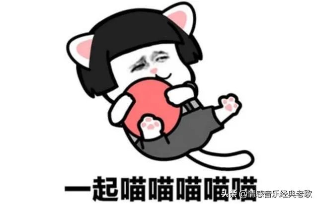 如何评价《学猫叫》这首歌?歌词有哪些含义?