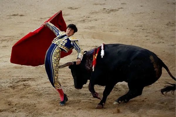 西班牙斗牛士为什么要挥舞红色的布呢？