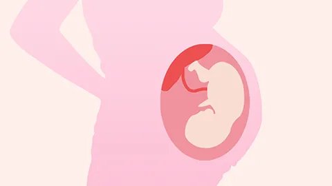 32周b超数据正常范围