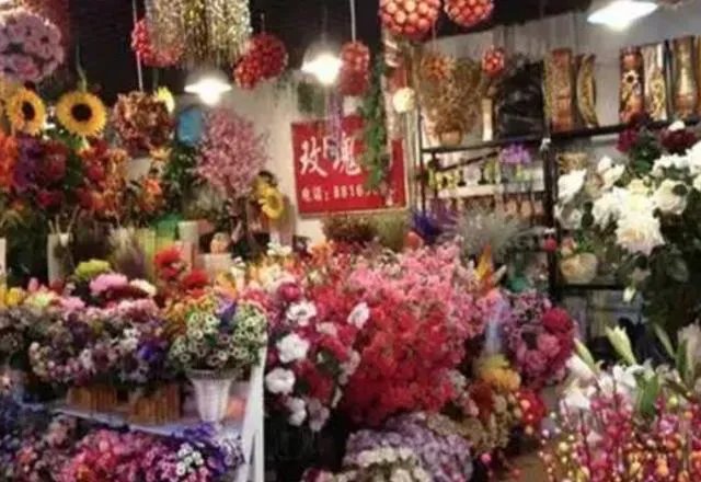 长春有哪些花鸟鱼市场？