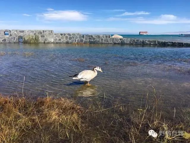 第一次弄自驾游路书，怎么制作自驾游路书啊？