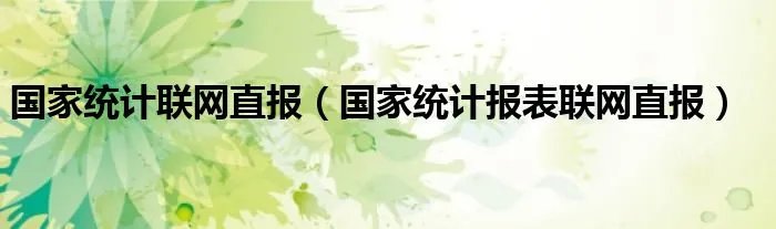 国家统计联网直报（国家统计报表联网直报）