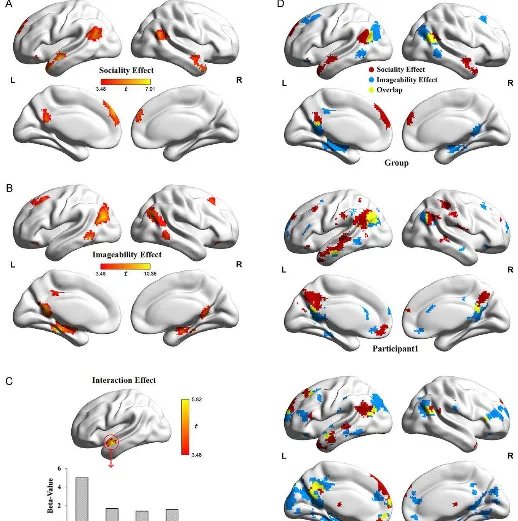 人体有几大系统