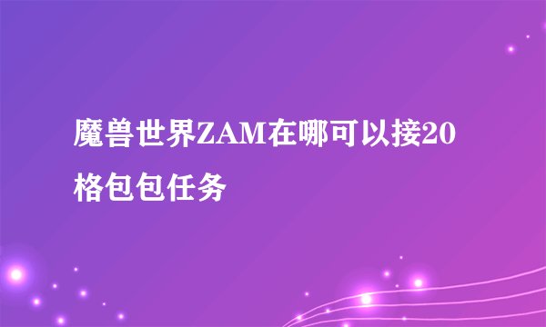 魔兽世界ZAM在哪可以接20格包包任务