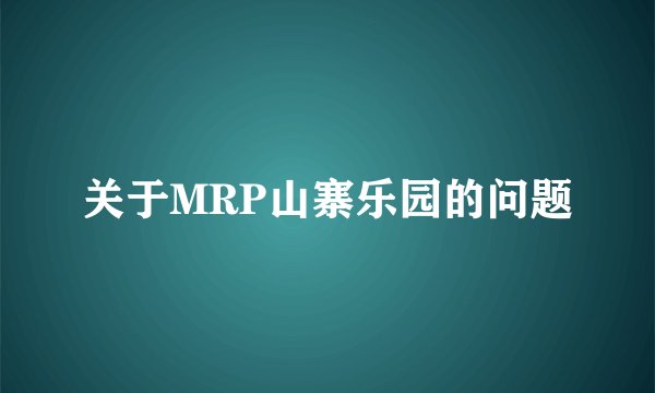 关于MRP山寨乐园的问题
