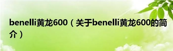 benelli黄龙600（关于benelli黄龙600的简介）