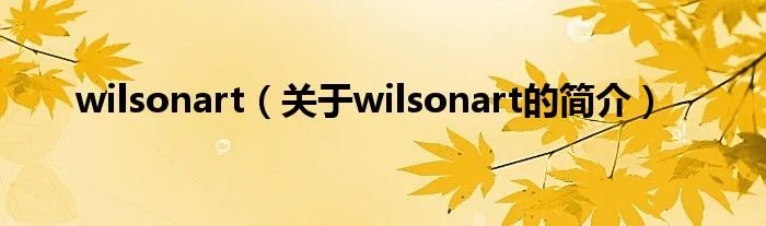 wilsonart（关于wilsonart的简介）