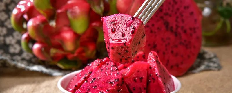 火龙果是谁的果实 火龙果是什么结出的果实